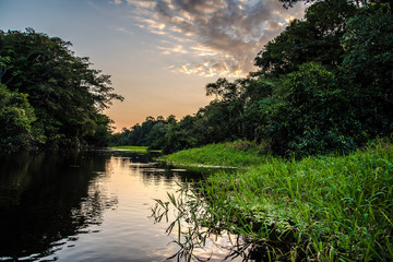 Amazon adventures