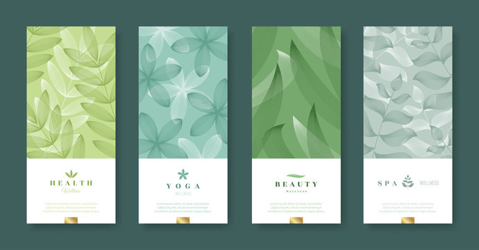 Leaves and nature banner set. Beauty and health minimal design. Voucher template with logo - health, yoga, beauty, spa. Vector illustration.