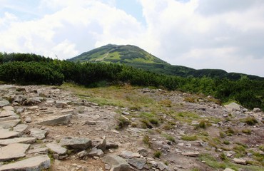Fototapeta na wymiar Beskids mountains in Poland. Landscape of peak Diablak