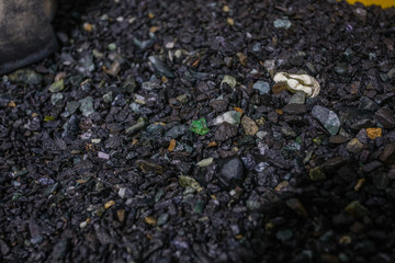 Black chrome ore minerals placer with green uvarovite
