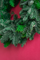 Blank for Christmas wreath on a pink background. Christmas wreath of spruce and cypress. Fir and...