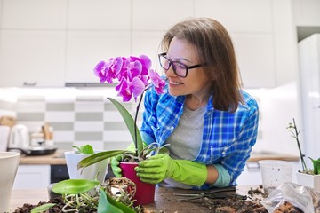 Woman caring for plant Phalaenopsis orchid, cutting roots, changing soil