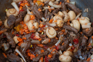 stews with meat and mushrooms large planernom,