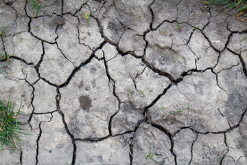 Cracked dried earth texture background, close up. Dry, erosion, ecology problem concept.
