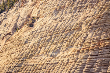 Checkerboard Mesa Details