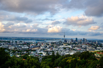 View of auckland city skytower from mount eden