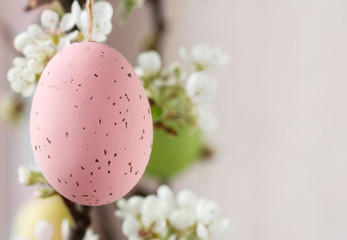 Easter eggs hanging on blooming apple tree branch.