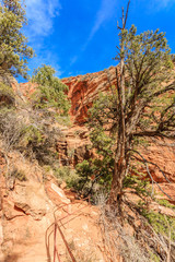 Canyon Overlook Trail