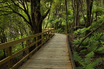 Obraz premium Boardwalk on Milford Foreshore Spacer w Parku Narodowym Fiordland w Southland na Wyspie Południowej w Nowej Zelandii