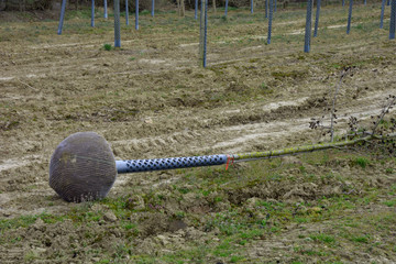 planting trees in an outdoor tree nursery in germany, lying tree just before planting in nursery