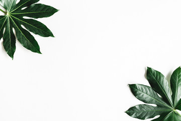 Fototapeta na wymiar Summer composition. Tropical leaves on white background. Summer concept. Flat lay, top view, copy space