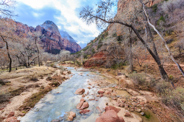 Virgin River at Zion National Park