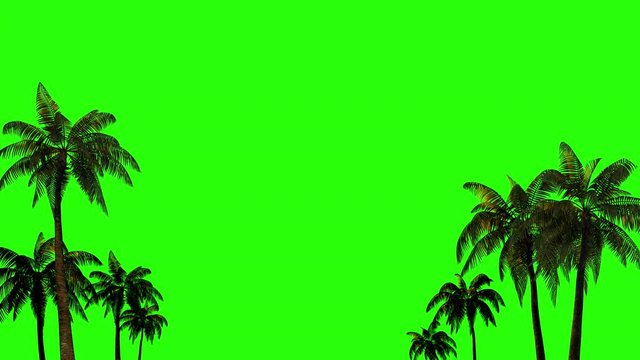 
Palm trees in the wind for chromakey with alpha channel on a green background. 
3D rendering