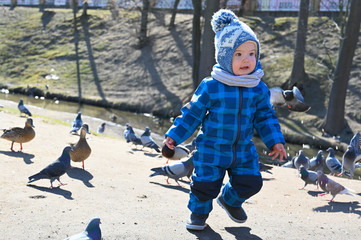child plays on the street with pigeons. child and pigeons.
