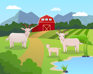 Vector illustration of a farm with green field and blue lake, garner, and trees with goats family on it. 