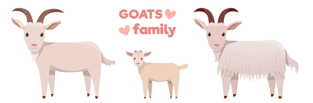 Vector illustrations of goats family isolated on a white background in cartoon style.
