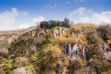 Fototapeta na wymiar Green spring on Cyprus Island