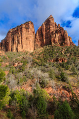Fototapeta premium Majestic Mountains of Zion National Park