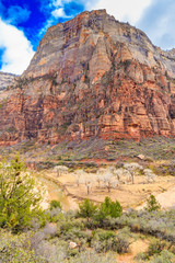 Zion National Park