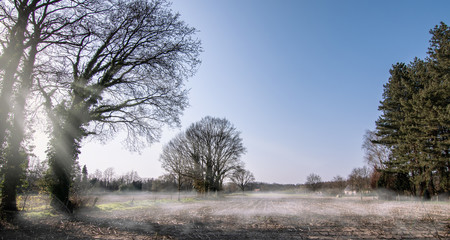 Morning landscape with silhouette trees in Belgian meadow with mist and sun. Panorama.