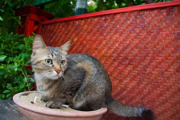 What are you looking at?