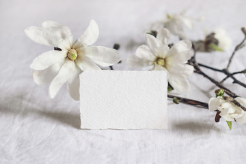 Wedding stationery mock-up scene. Blank greeting business, RSVP paper card on linen tablecloth background with bloomimg white star magnolia tree branches. Feminine still life composition.