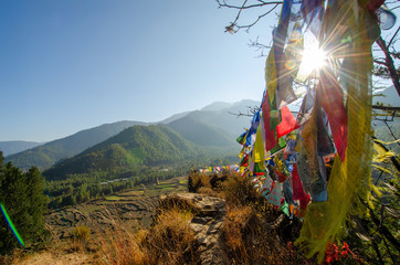 Prayer flags on ridge overlooking terraced fields in Paro Chu Valley, Bhutan © Michael