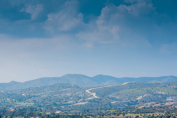 Green spring on Cyprus Island