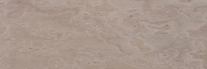 Natural maple veneer background in excellent grey color. Natural wood texture, pattern of a long veneer sheet, plank.