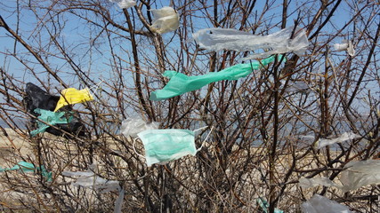 Face masks and plastic debris on branches of trees. Coronavirus (COVID-19) is contributing to...