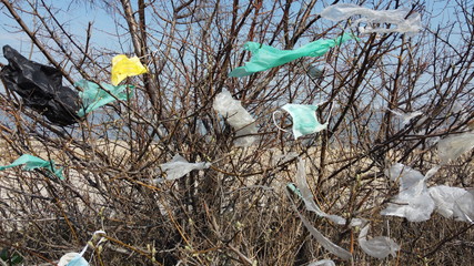 Face masks and plastic debris on branches of trees. Coronavirus (COVID-19) is contributing to...