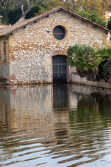 Selva di Circe in the Circeo national park. Lazio, Italy