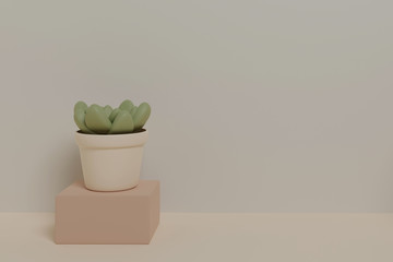 Succulent plant 3D design