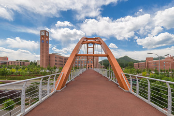 bridge over the river