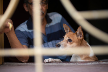 An Indian Bengali old man enjoying in front of the window with his pet dog during the home isolation for fighting against corona virus. Indian lifestyle, home isolation and quarantine