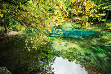 Trips in Baden Württemberg