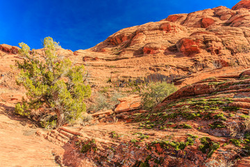 Snow Canyon State Park