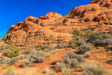 Fototapeta premium Snow Canyon State Park