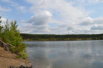 lake in the forest