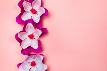 Fototapeta na wymiar Purple and white flowers on a pastel nude background 