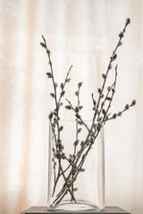 Willow is a symbol of Palm Sunday in Russia. Willow - the first plant that blooms in spring,...