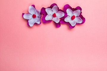 Purple and white flowers on a pastel nude background
