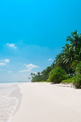 Tropical vacations beach, empty clean white sand and coconut palm trees