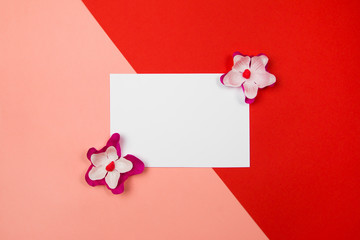 Purple and white flowers with white blank paper on a pastel orange and red background