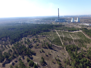 Deforestation. Ecology of Ukrane.The fate of the felled pine forest. Ukraine is increasing timber...