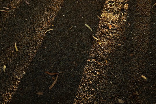 TOP AND BEST PRESENTATION IMAGE OF THE GROUND WHERE THE SUNLIGHT IS FALLING SPACE FOR WRITING IS AVAILABLE WITH STONY BACKGROUND.