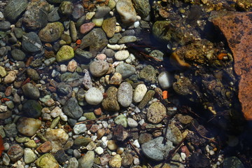 Steine im Flussbett