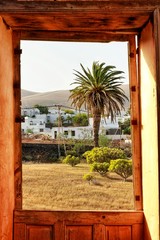 A palm tree in a natural frame with a door.
Palm in the door
View of the Canary Islands of Lanzarote.
Wooden door with a palm inside.
The picture frame in the middle is a palm tree
Natural paiting. 