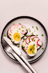 Savory smorrebrod, two traditional Danish open sandwiches. Black rye bread with radish, eggs, cream cheese and green onion on a plate on concrete background. Selective focus