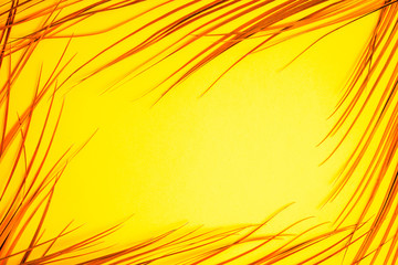 Frame of tropical palm leaves